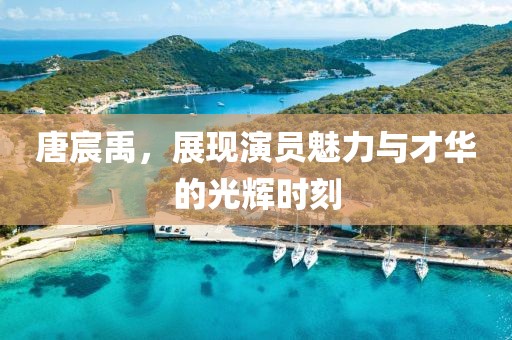 唐宸禹，展现演员魅力与才华的光辉时刻