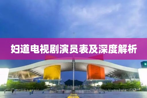 妇道电视剧演员表及深度解析