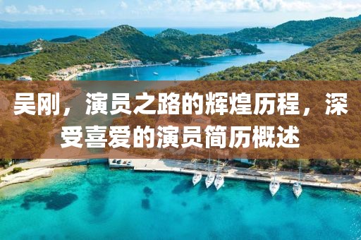 吴刚，演员之路的辉煌历程，深受喜爱的演员简历概述