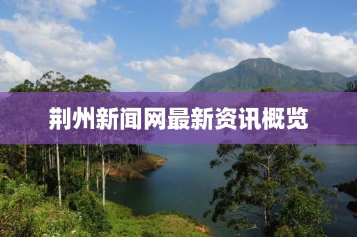 荆州新闻网最新资讯概览