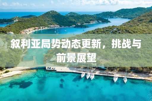 叙利亚局势动态更新，挑战与前景展望