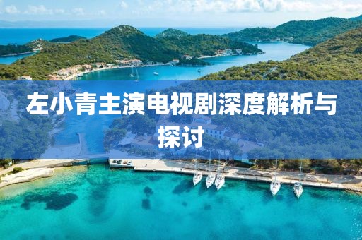 左小青主演电视剧深度解析与探讨