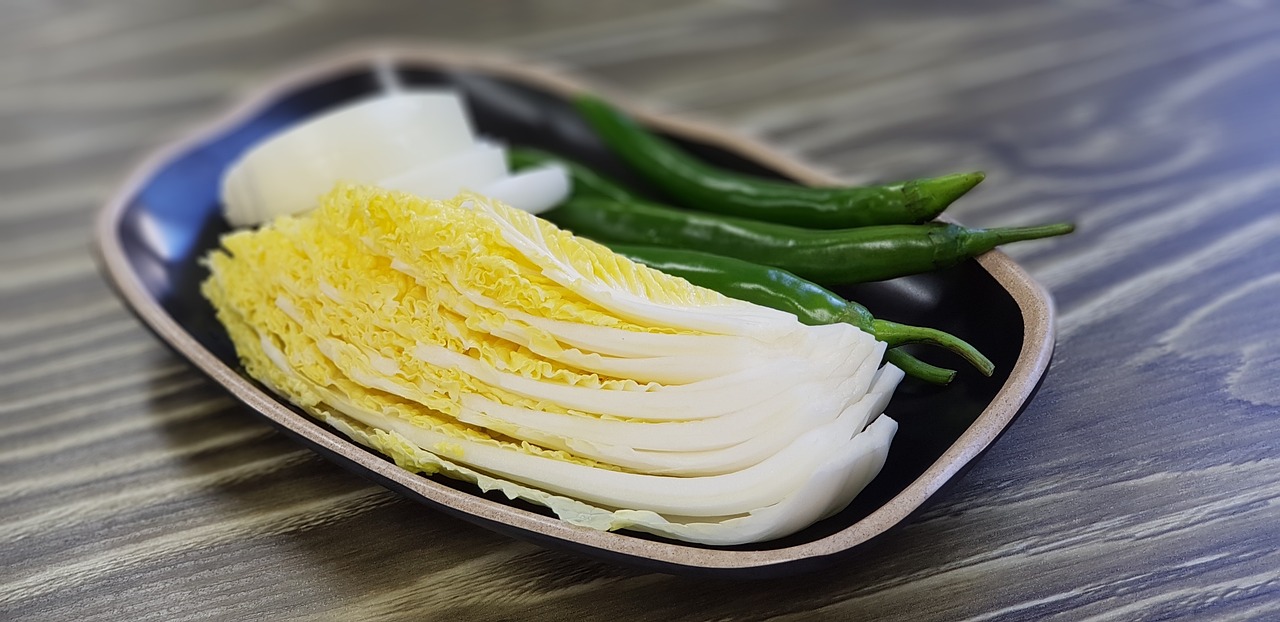 大白菜最新价格动态，市场影响与市场趋势分析
