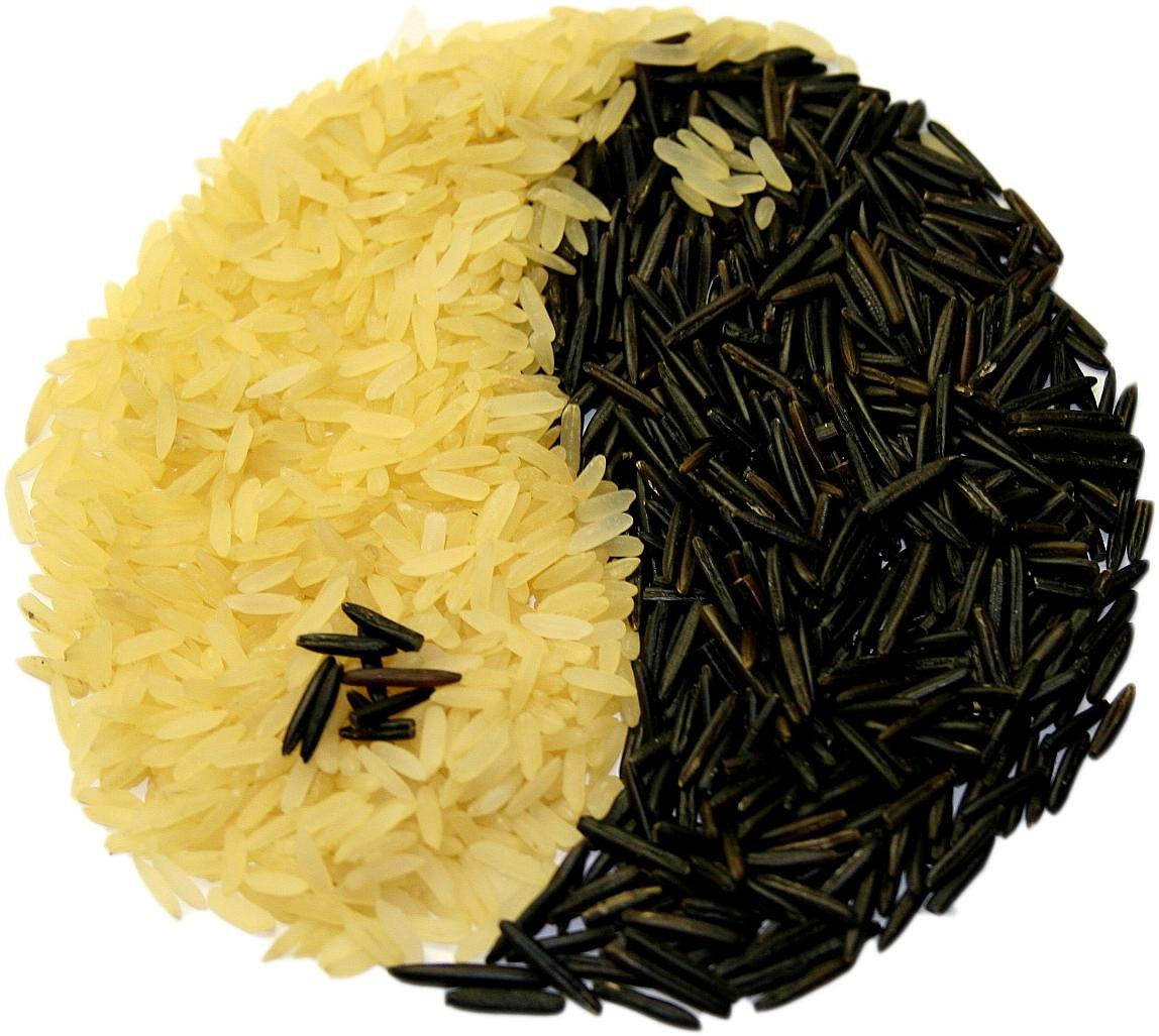 长虹饮涧 第20页