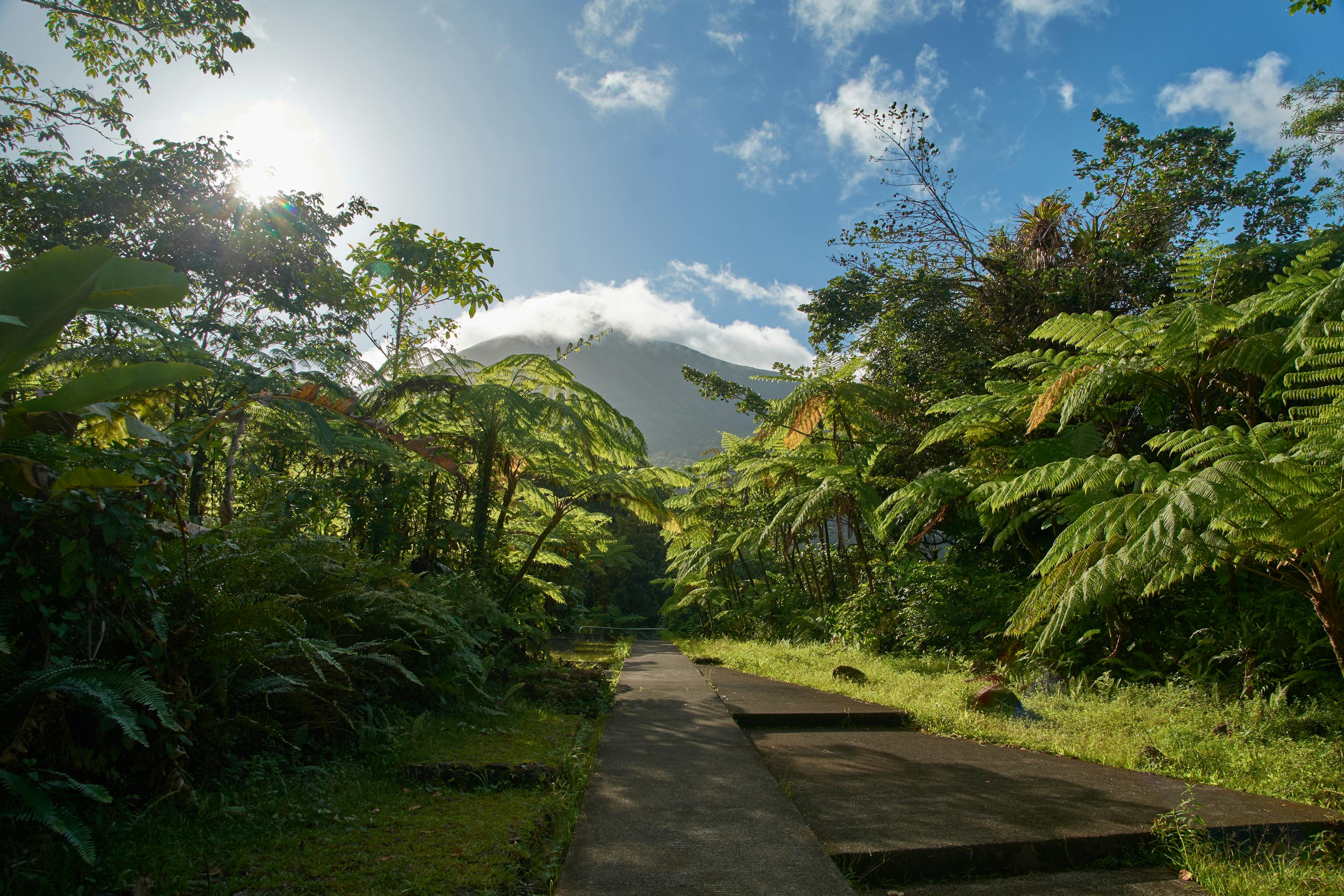 河南免费旅游景点大盘点，畅游中原美景，不花冤枉钱！