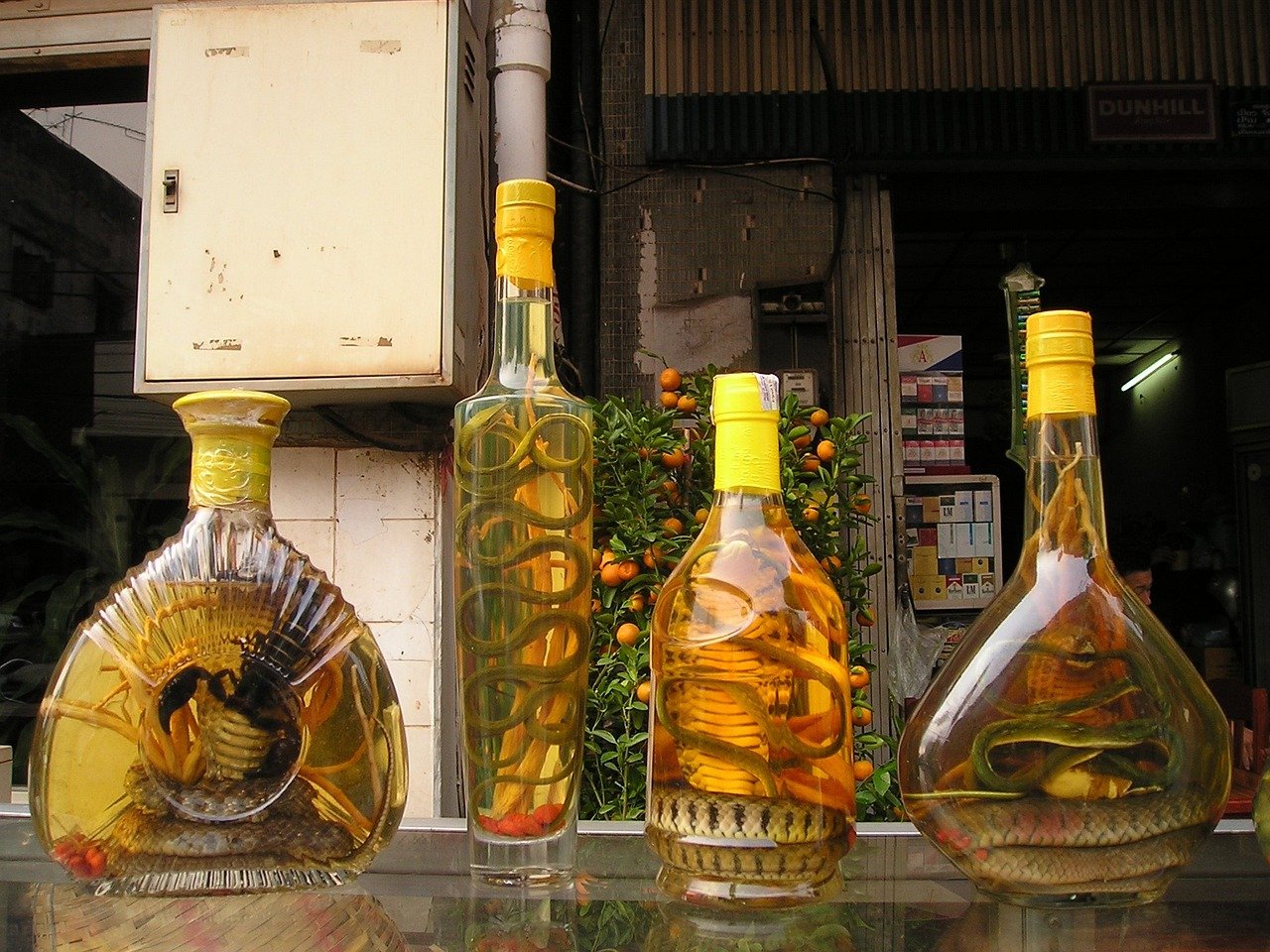 北大仓酒价格大全，最新价格一览表