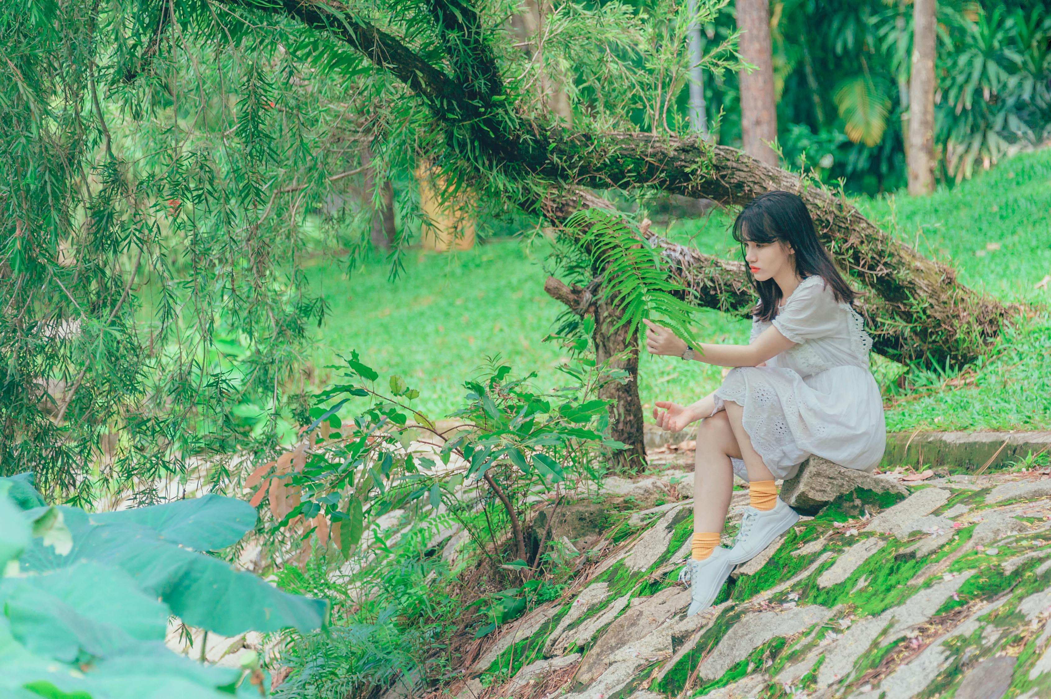 东莞摄影比赛，光影魅力与莞邑风采的完美结合