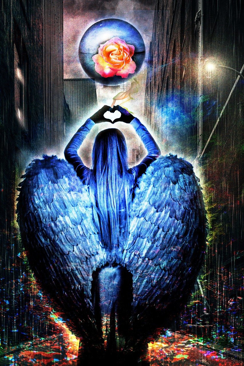 最新宝多城动态揭秘，未来城市的神秘面纱揭晓