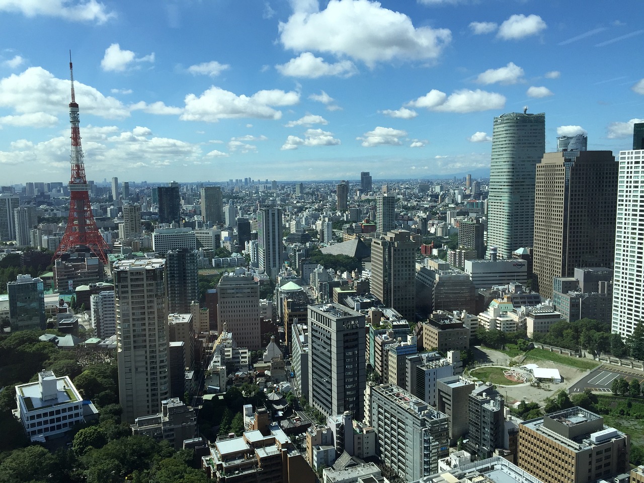 全国油菜籽最新行情分析与趋势展望
