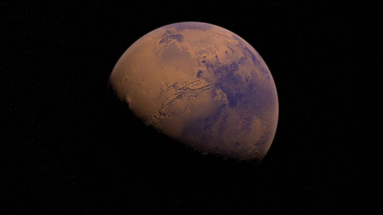 明星系列txt下载，探索与发现的旅程
