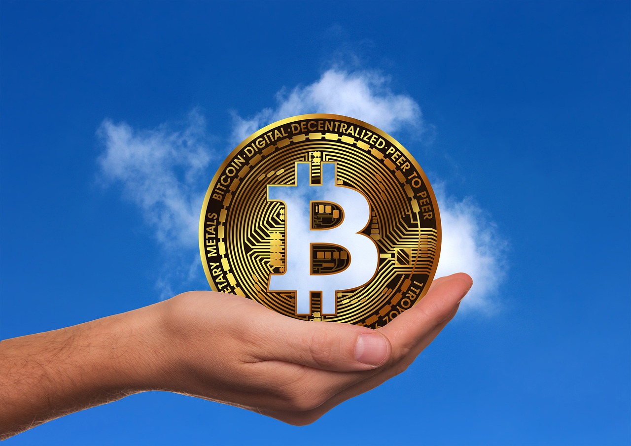 山东玉米价格最新行情走势图及分析，影响因素深度解读