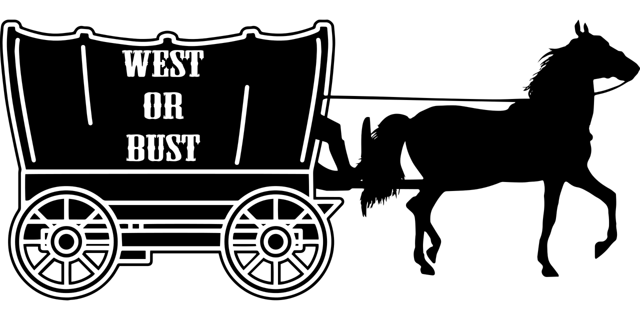 迟小秋最新动态，探索艺术新领域的前沿先锋