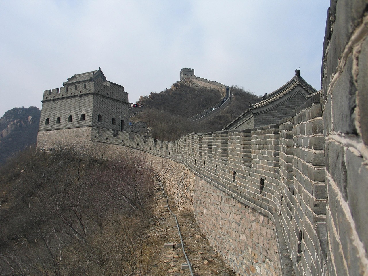 最新经济犯罪动态及其对社会影响的深度剖析