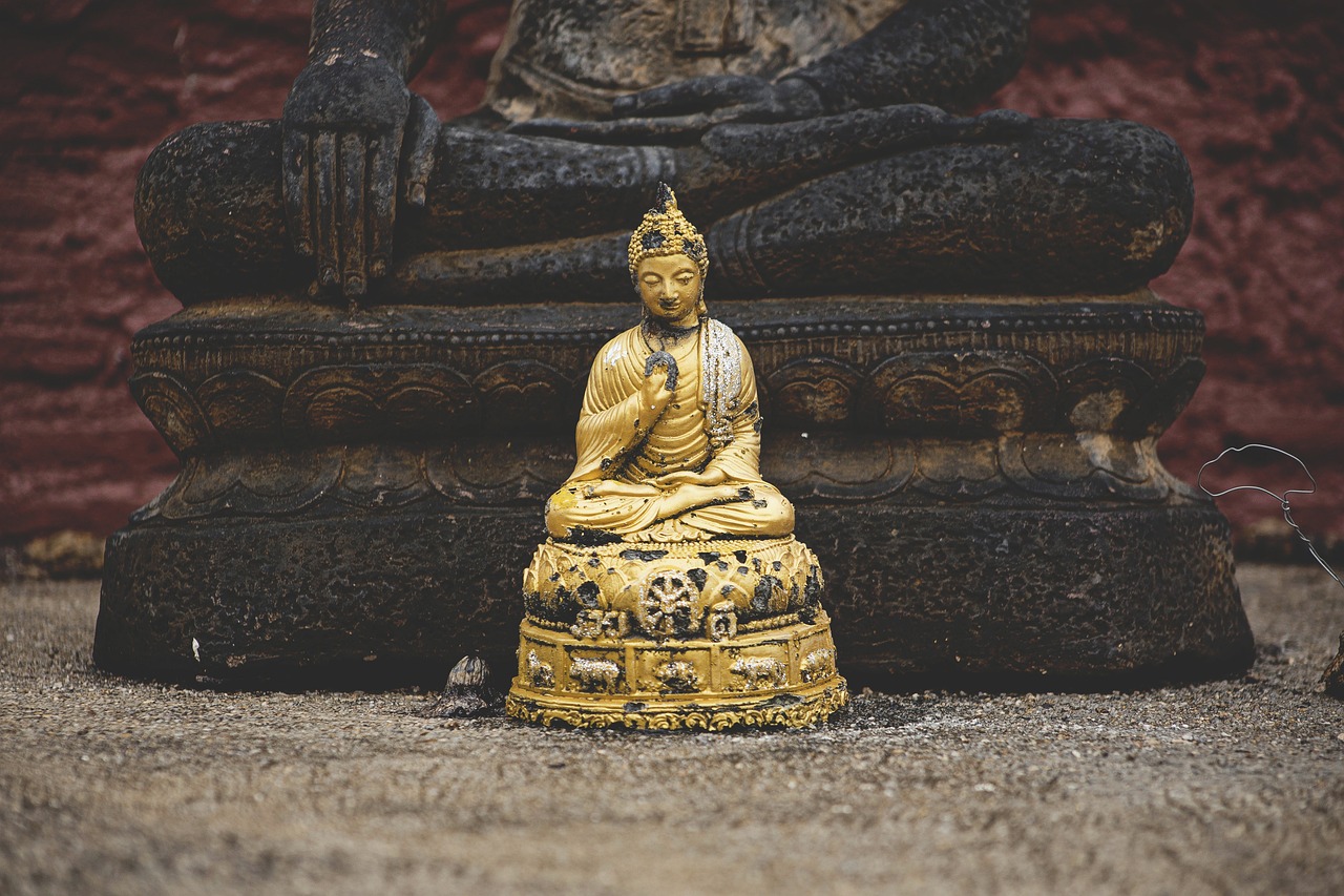 三亚华悦海棠最新资讯揭秘，海棠湾的崭新面貌与发展动态探索