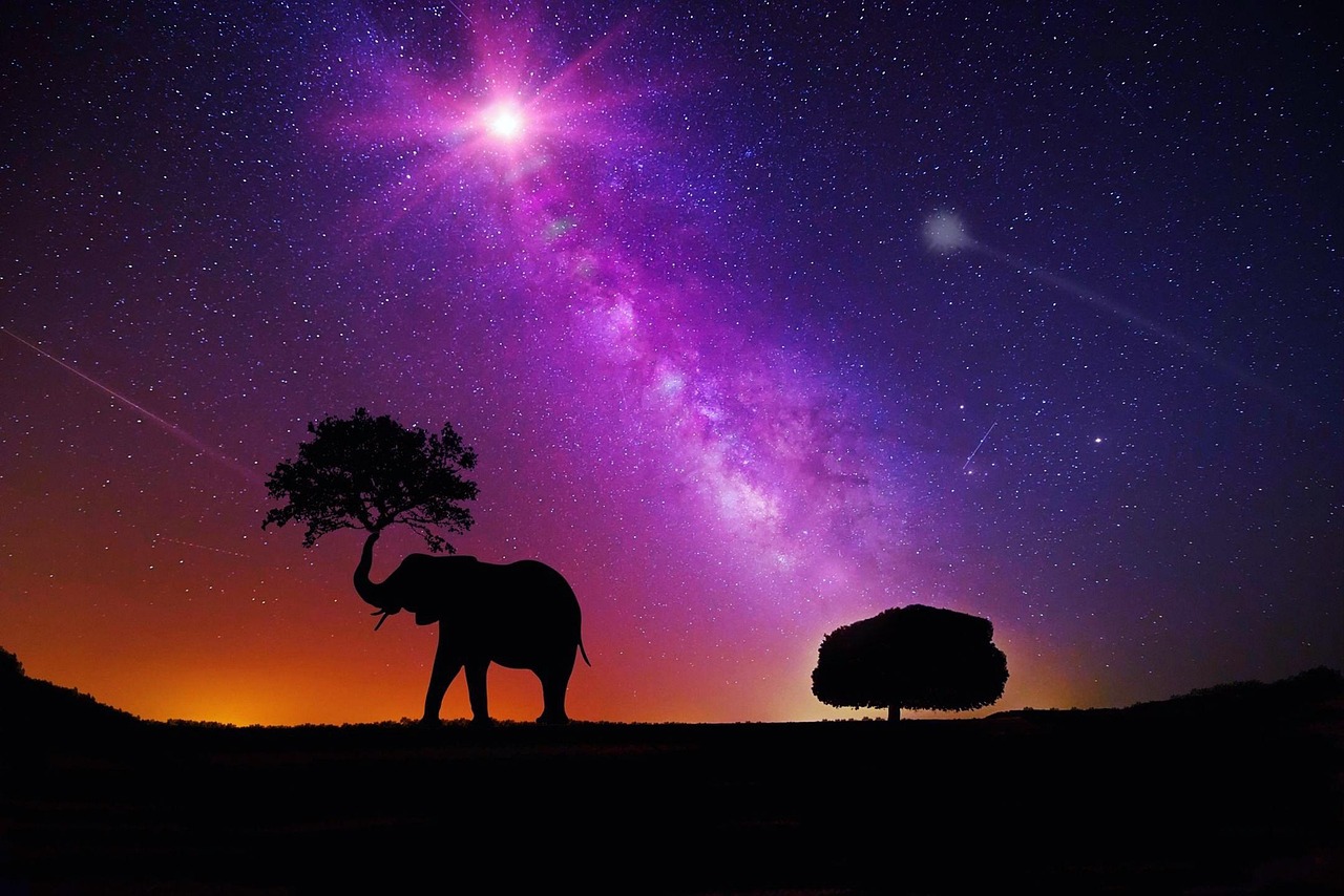 咸阳明星，照亮西北文化天空的璀璨之星