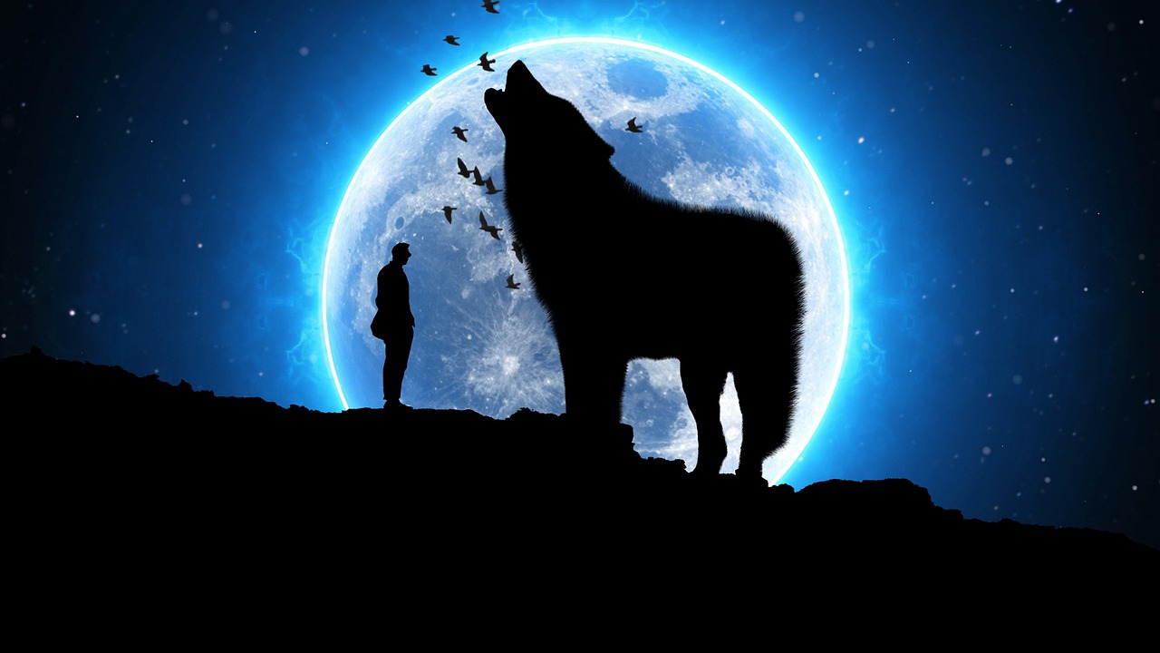 闪耀星空的射手座明星一览表，揭秘射手座明星们的小秘密