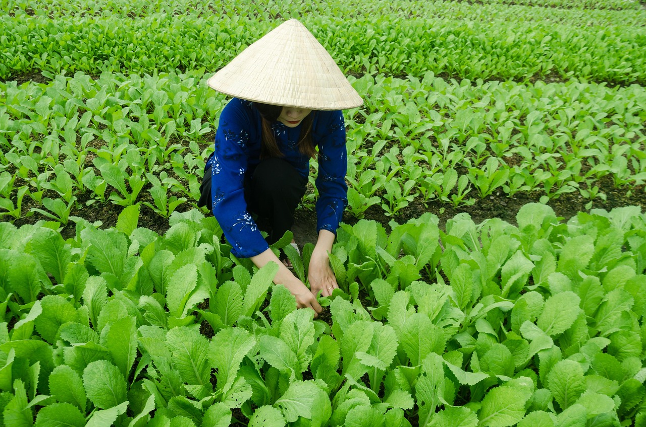 最新咸宁动态，明珠之城繁荣与发展持续升级