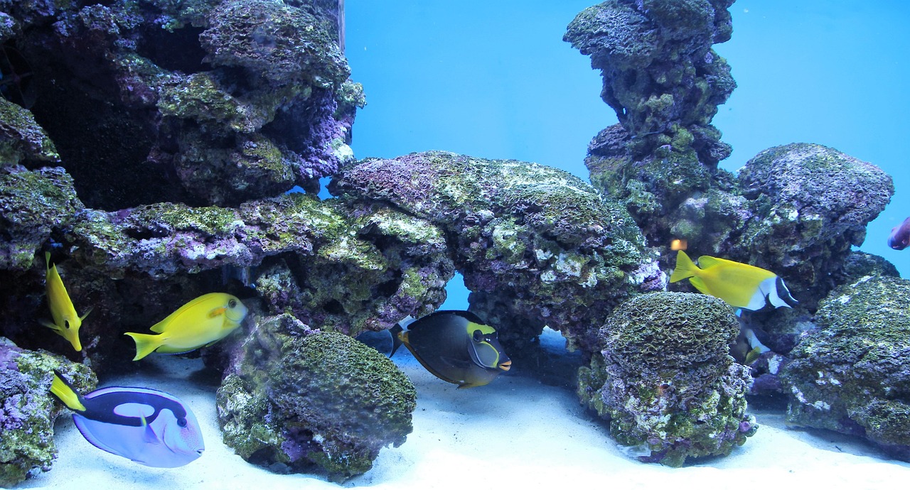 流连染紫旳悯 第9页
