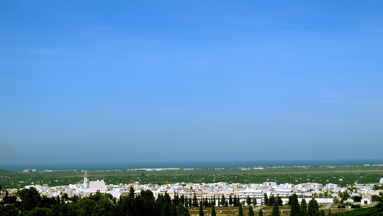 硫酸铵近期报价与市场动态分析概览