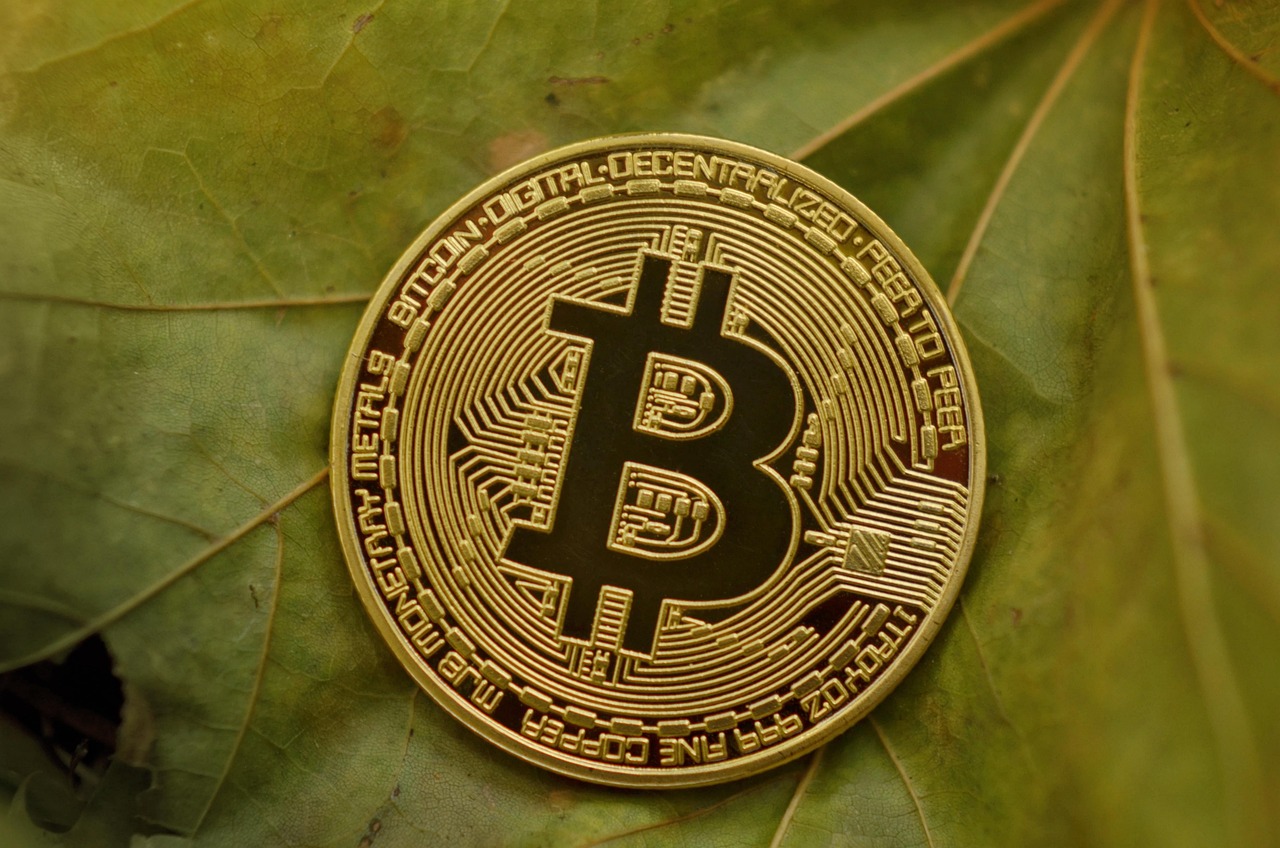 最新零币资讯揭秘，数字经济未来趋势的探索