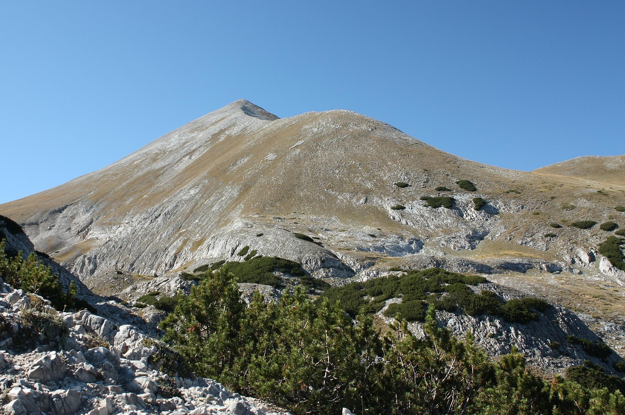 最新车技挑战登山，勇探高峰的极致之旅