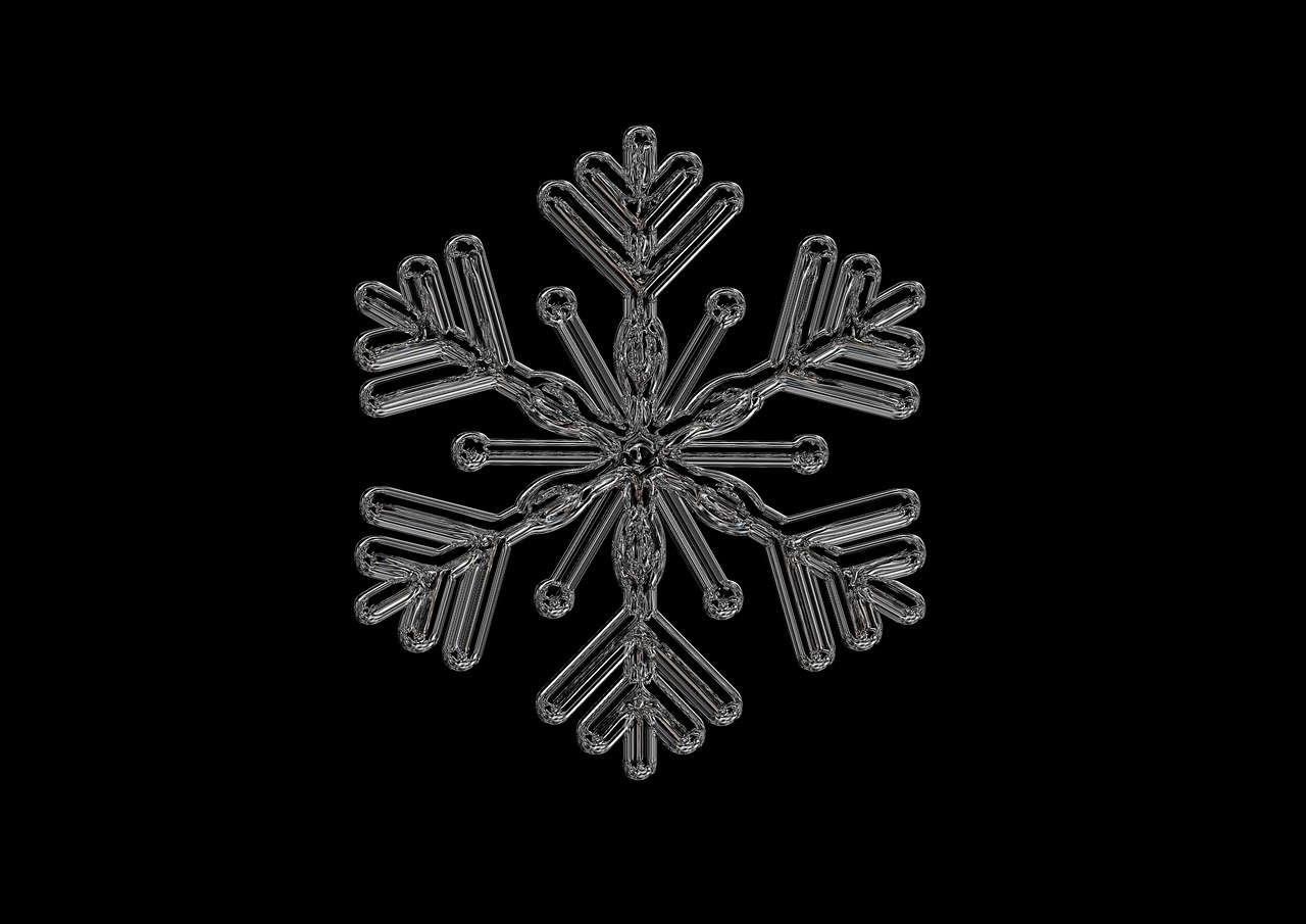 雪中的明星，闪耀光芒与无尽魅力展现风采