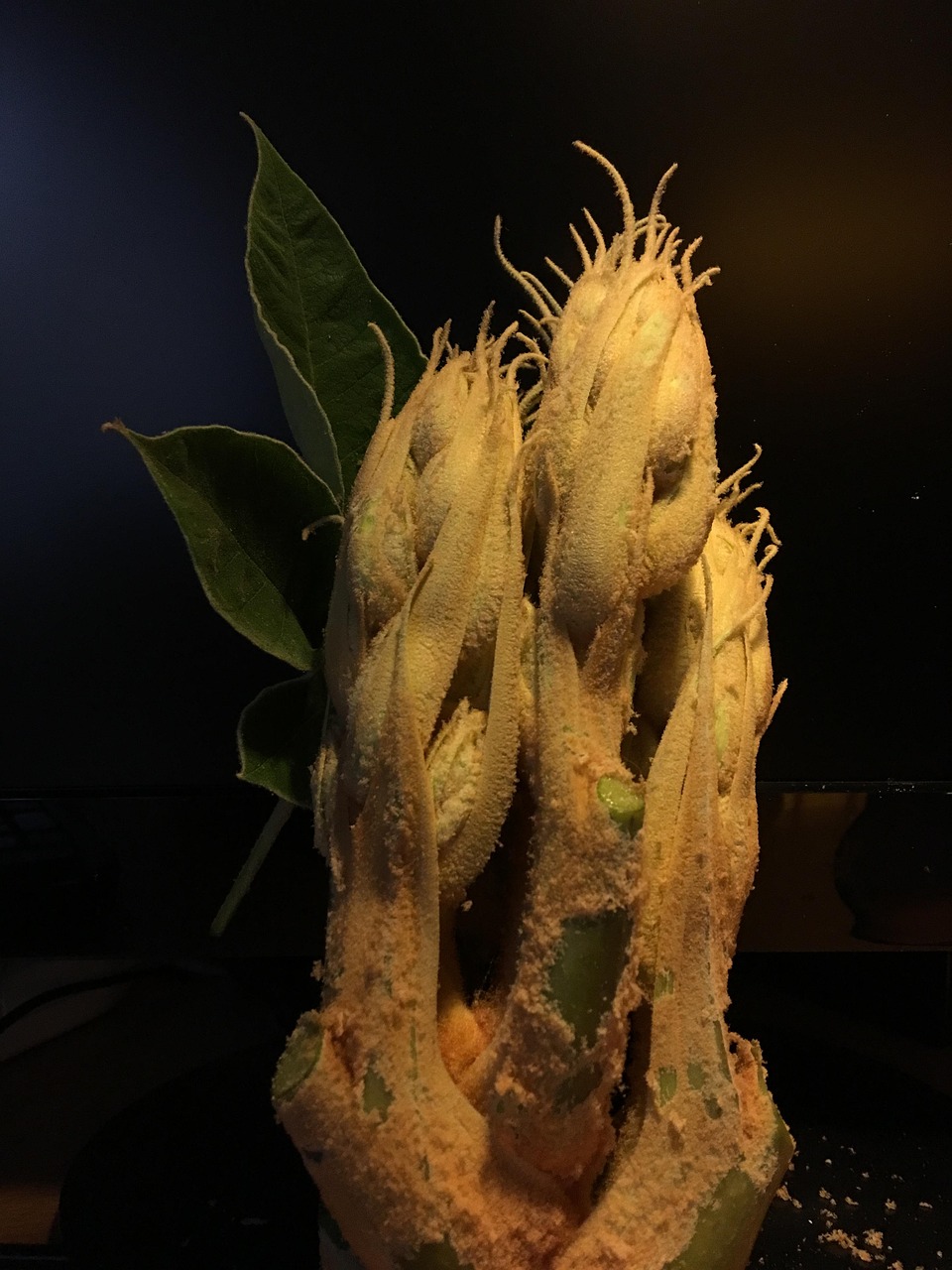 万景荔知湾最新动态，绿色力量引领城市发展新篇章