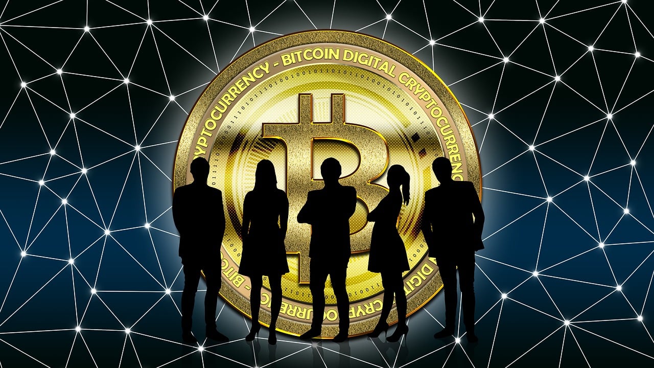 陕西白河县县域经济与社会进步蓬勃发展最新动态